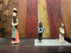 -陕西自然博物馆