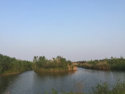 -水八仙生态园