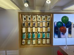 -苹果售后维修服务中心(东大直街总店)