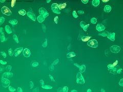 -多彩贵州城极地海洋世界