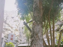 -深圳欢乐谷
