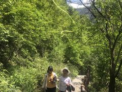 -鹿院坪生态旅游景区