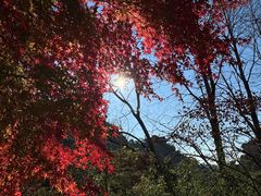 -崂山巨峰游览区