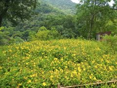 -黄公望隐居地