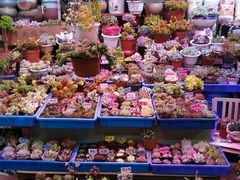 -无锡文化工艺品市场(槐古路店)