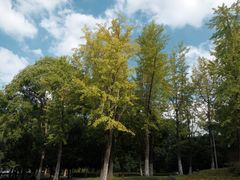 -白塘生态植物园