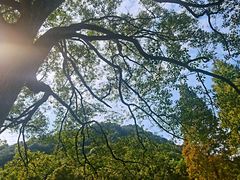 -黄公望隐居地
