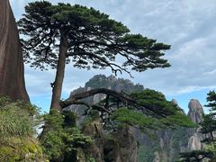 -黄山风景区