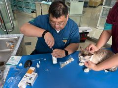 -瑞派申生动物医院·24H夜诊·国际动物医疗中心·骨外科(吴中路店)