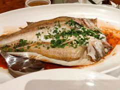-醉辉皇原味海鲜江南菜(成都大魔方店)