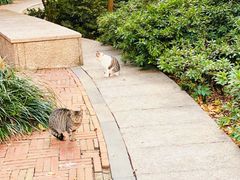 景观位-Wagas沃歌斯(大学路店)