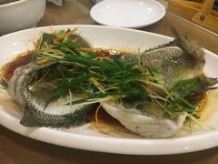 清蒸太阳鱼-大唐靓汤江门私房菜(景田店)