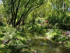 -上海共青森林公园