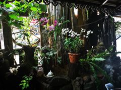 -自然餐厅(Phuket)