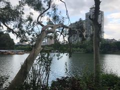 -西湖公园(鼓楼区)