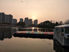 -新江湾城公园