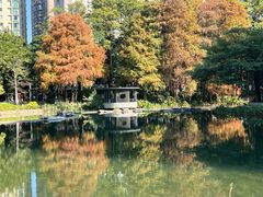 -四海公园(南山区)