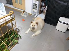 -肆兮眼镜·蔡司·徕卡战略合作店(大坪店)