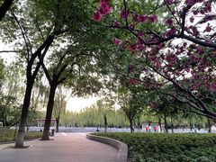 -丰台花园