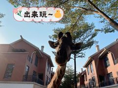 -灵玲国际马戏城