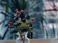 -gaga(深圳福田星河COCO Park店)