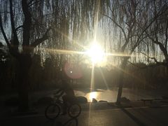 -近春园遗址