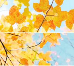 点击看大图 -韩美绣·骨相纹眉·洗眉美瞳线