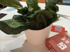 -八合里潮汕鲜牛肉火锅(吉大店)