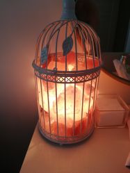 -Yukina Plus专业日式美肌