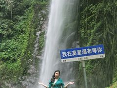 -莫里热带雨林景区