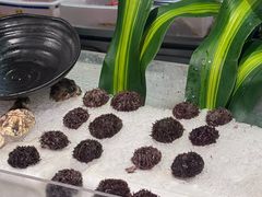 -Mr.Fish鱼鲜生海鲜放题(高德置地冬广场店)