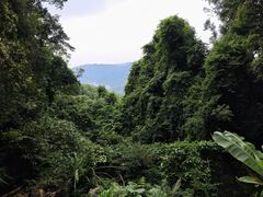 -广州市帽峰山景区