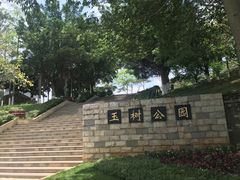 -玉树公园
