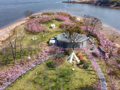 -福建鲤鱼洲酒店