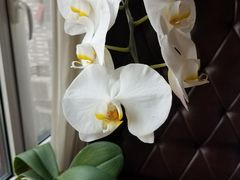 -浦江餐饮·上海菜馆(五四路店)