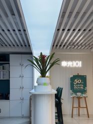 -章光101防脱养发荟