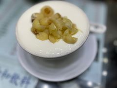 莲子双皮奶冻-义顺牛奶公司(新马路老店)