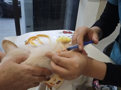 -艾贝尔宠物医院·24H转诊中心·肿瘤猫专科(江宁双龙店)