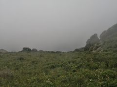 -白草畔自然风景区