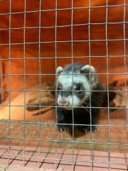 -酷嗒动物文化乐园(cutezoo西溪乐天城店)