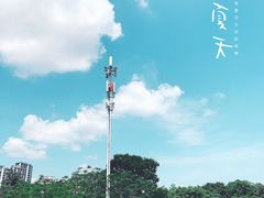 -万绿园