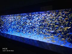 -成都浩海立方海洋公园