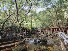 -天门沟九州驿站树上汤泉