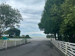 -贡湖湾湿地公园
