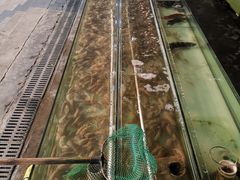 -红月湾海鲜饭店•沙滩海景(双月湾店)