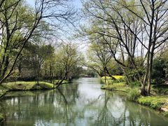 -西溪国家湿地公园