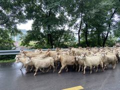 -兰河峪第117加油站