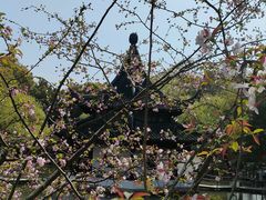 -西园戒幢律寺