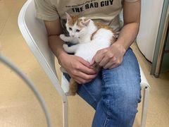 -瑞派·关忠动物医院·猫专科·犬专科(三环新城店)
