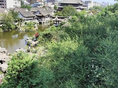 -花洲书院